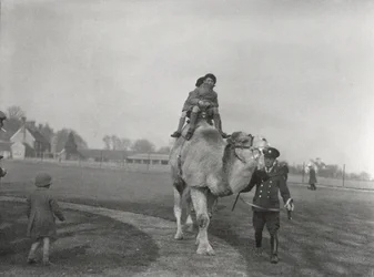 Egy arab teve két gyermeket visz sétalovaglásra a ZSL Whipsnade-ban, 1932 márciusa
